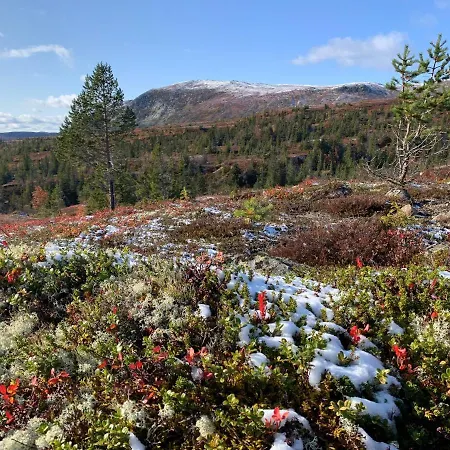 Pa Sorbolfjellet Flå